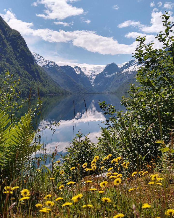 Oldevatn Camping Olden Exteriér fotografie